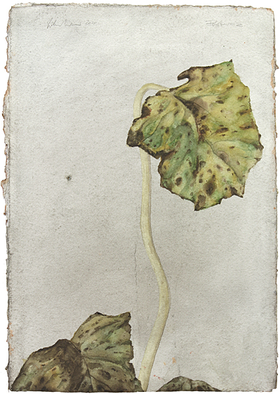 tot01
