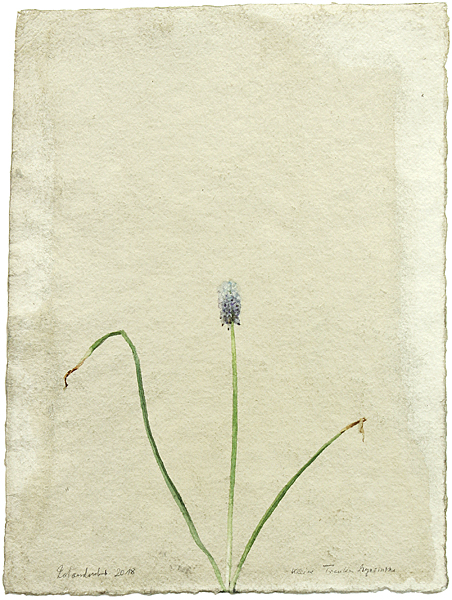 pl12