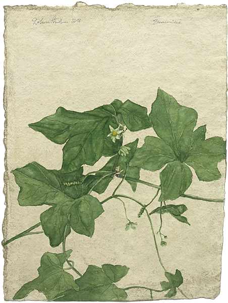 pl13