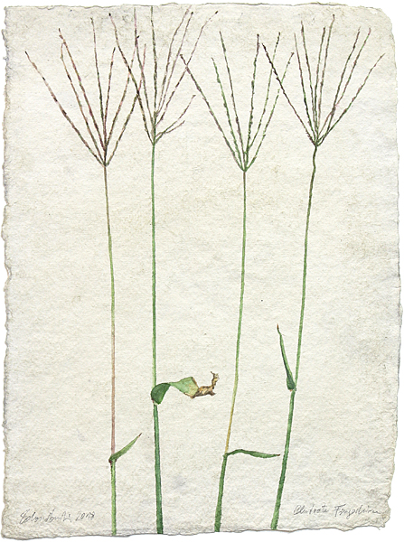 pl15