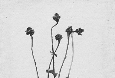 art2